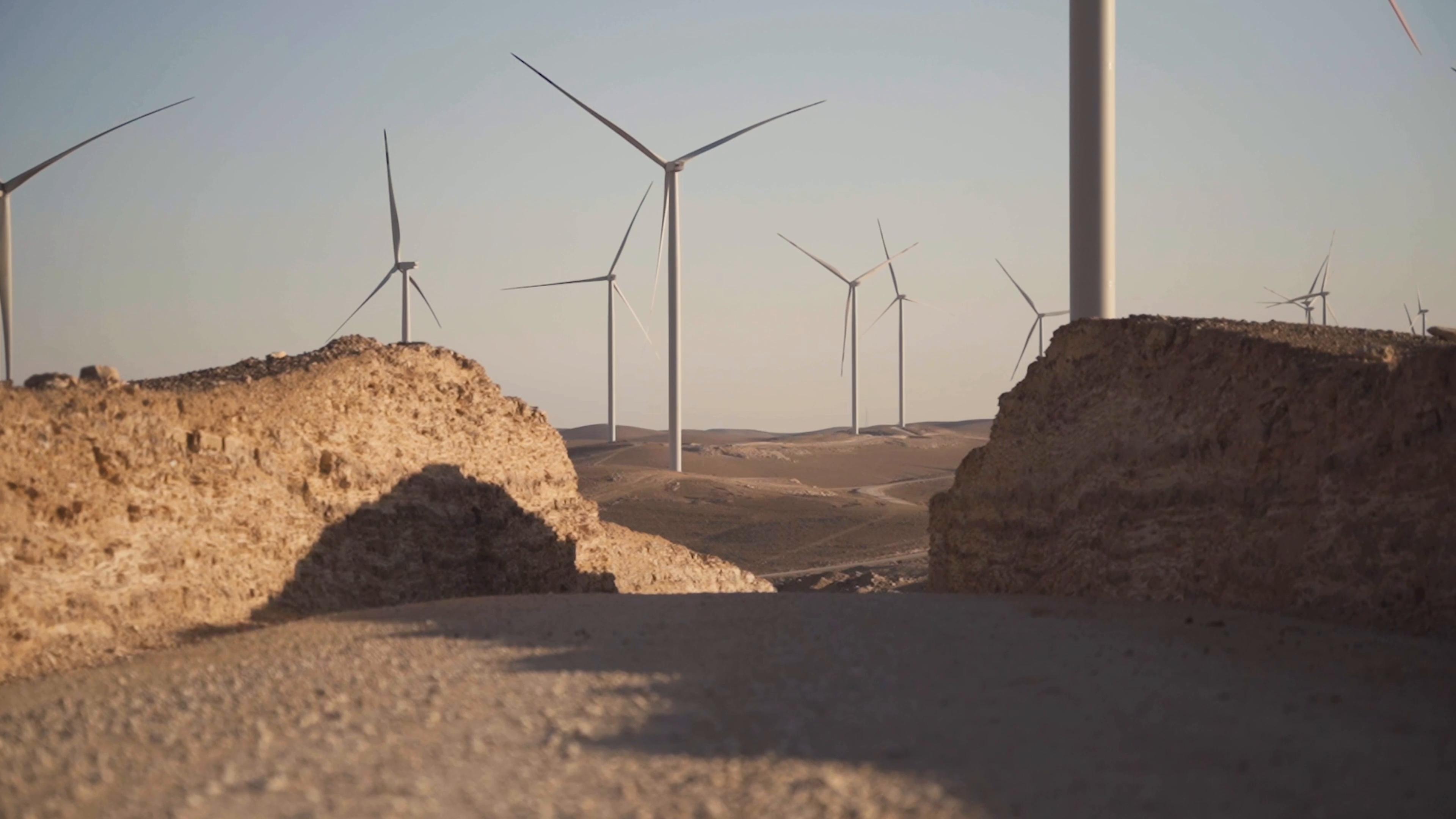 FASHION STYLIST | CREATIVE DIRECTOR